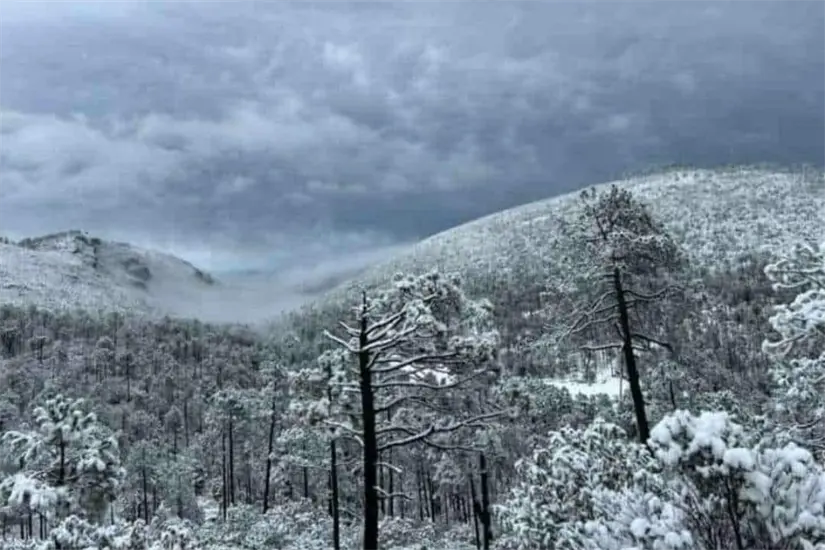 imagen recuadro Uno de los ejidos más altos es la Marcela, Miquihuana, Tamaulipas | Foto: FB