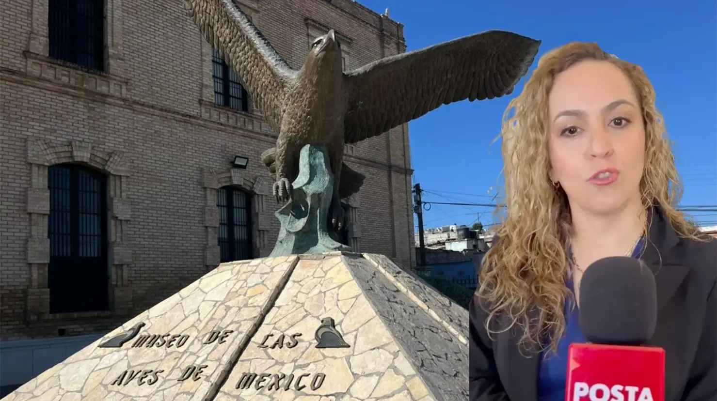 Sofía Strozzi, directora del Museo de las Aves en Saltillo. Imagen del museo. (Fotografía: Leslie Delgado)