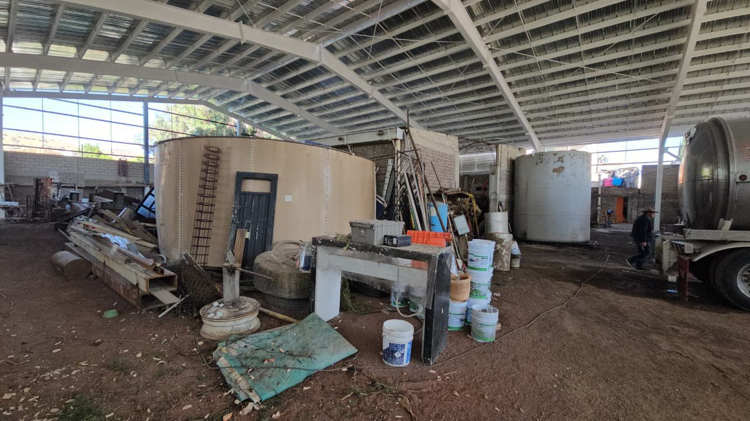 imagen-cuerpo imagen-cuerpo