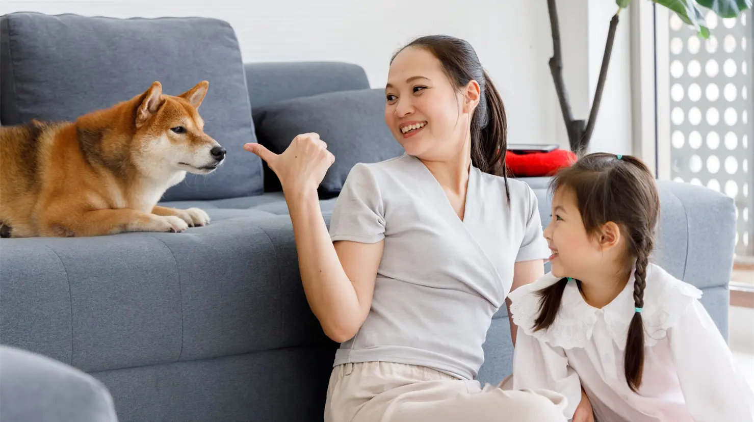 Rentar con perros y niños. Foto: Canva