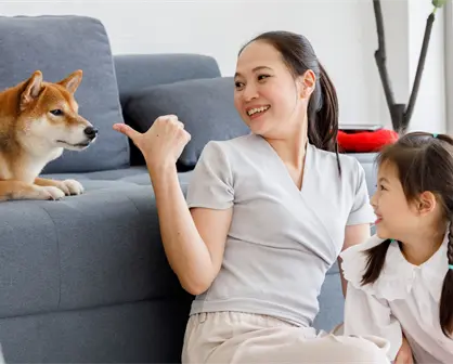 ¿Dónde denunciar si te niegan la renta por tener mascota en CDMX? Guía paso a paso