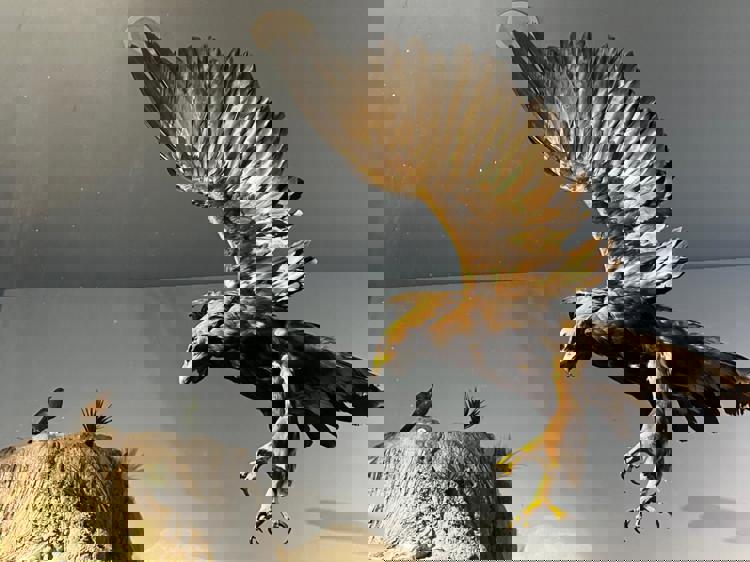 imagen-cuerpo imagen-cuerpo