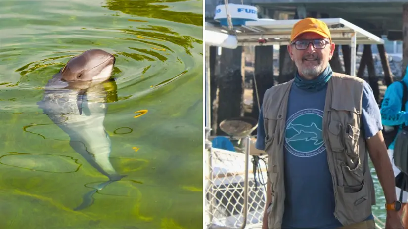 Lorenzo Rojas Bracho. Foto: Canva | CONANP