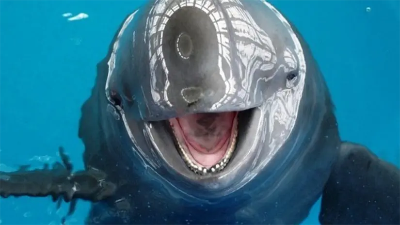 Foto: Zoológico de Morelia