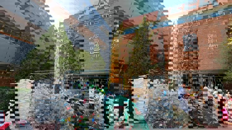 imagen-cuerpo imagen-cuerpo