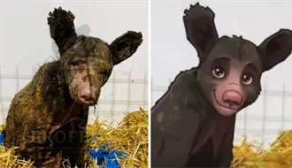 ¡Un abrazo para Mina vuelve con más fuerza! Lanzan segunda campaña solidaria en apoyo a la causa