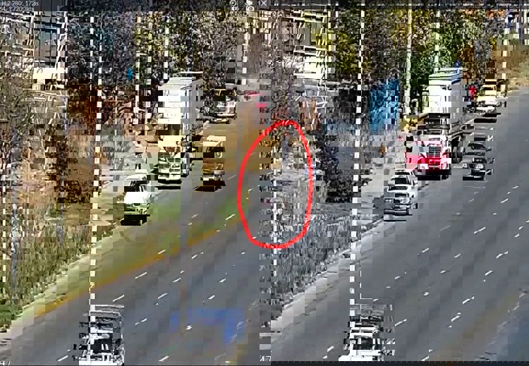 imagen-cuerpo imagen-cuerpo