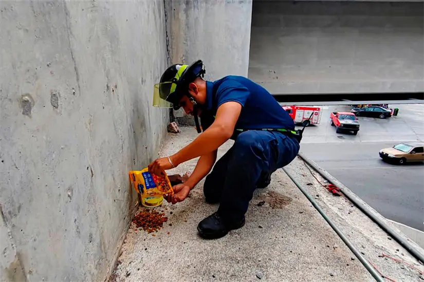 Un cachorro ha movilizado a rescatistas.