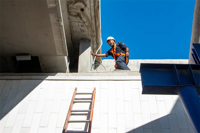 Un cachorro ha movilizado a rescatistas.