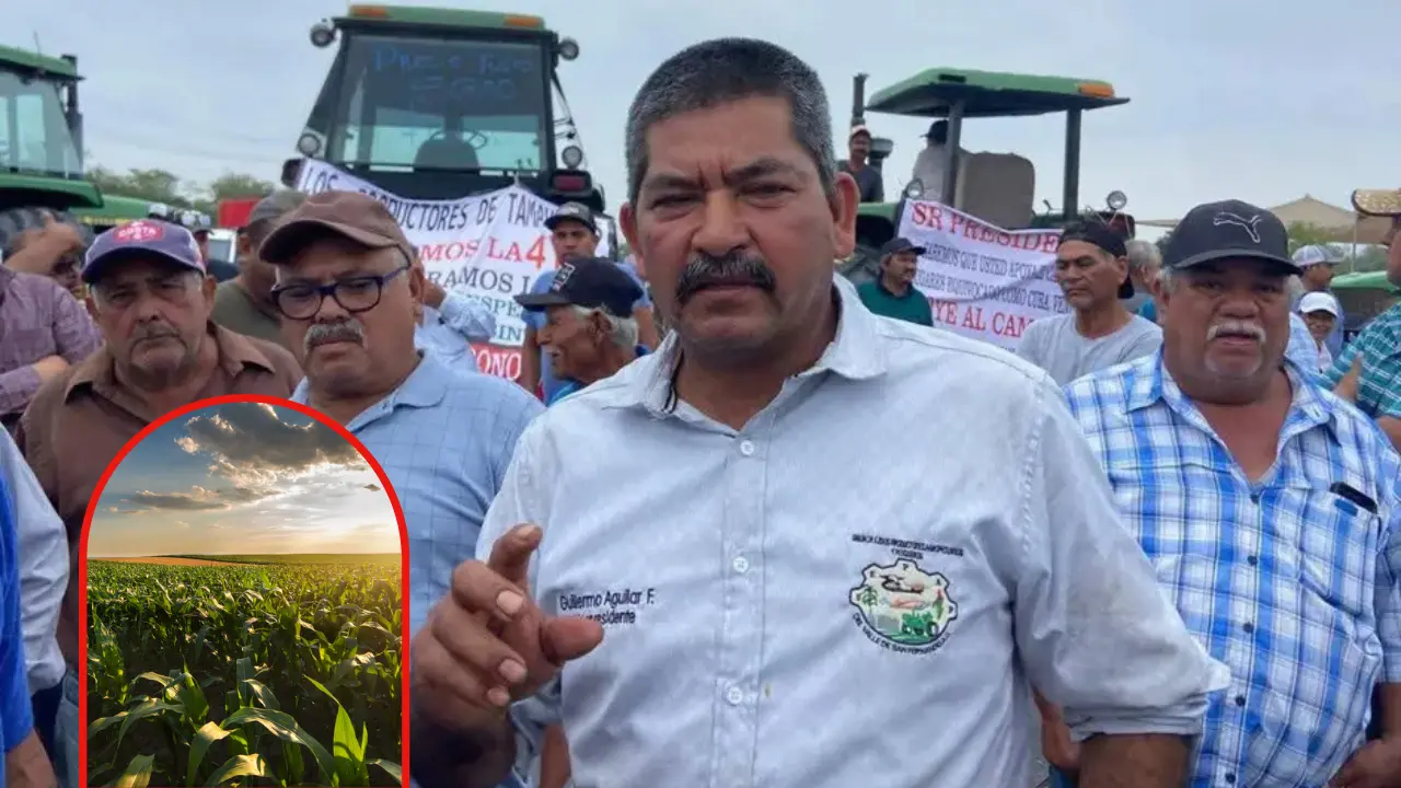 Agricultores en Tamaulipas temen a que no se les logren sus cultivos ante la falta de lluvia | Foto: Ramón Sánchez | Freepik