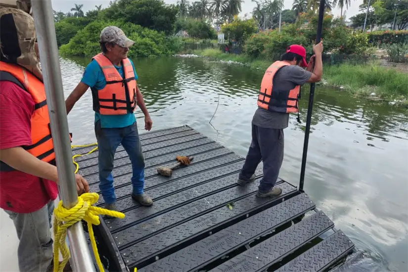 nuevos asoleaderos para cocodrilos en la Laguna del Carpintero | Foto: Facebook Descubre Tampico