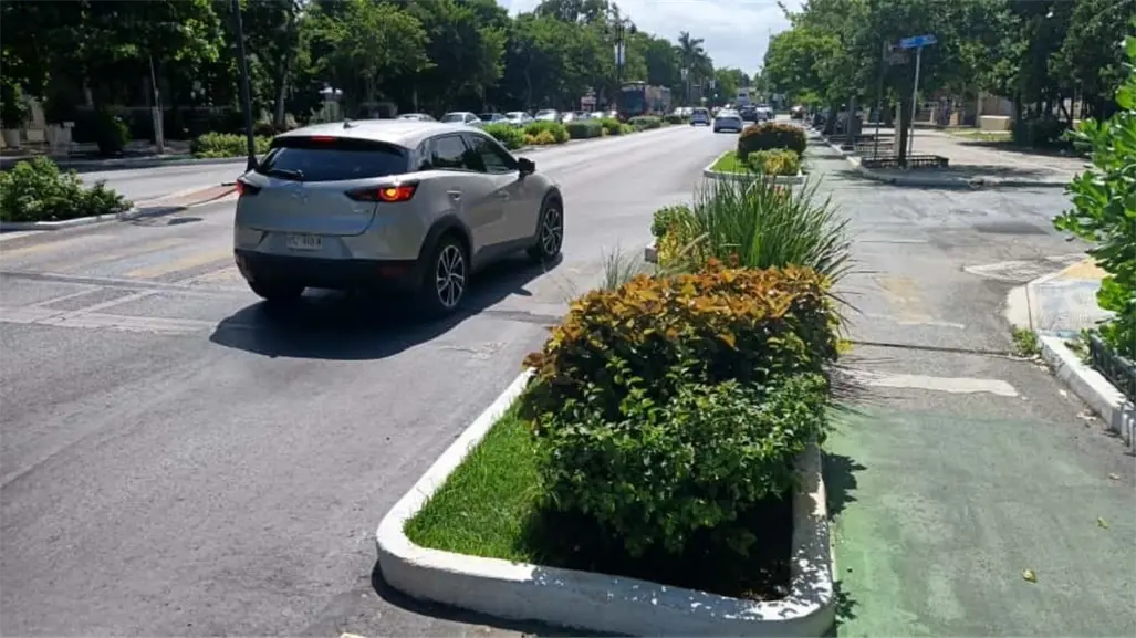Canaco Mérida pide que los cambios en Paseo de Montejo mejoren la movilidad sin afectar al comercio