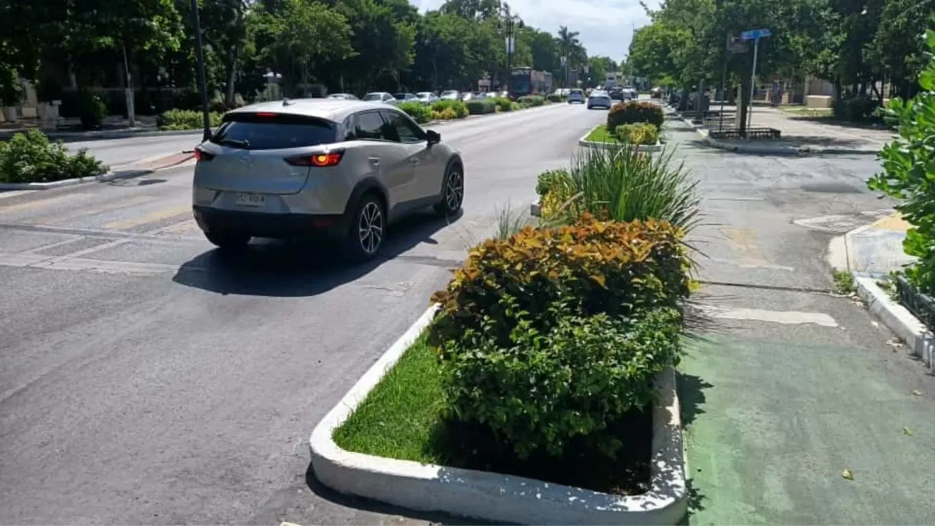 La Canaco-Servytur manifestó su postura ante los cambios viales propuestos para el Paseo de Montejo. Foto: Irving Gil