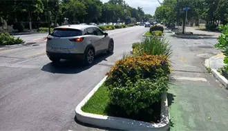 Canaco Mérida pide que los cambios en Paseo de Montejo mejoren la movilidad sin afectar al comercio