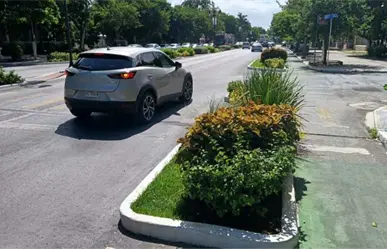 Canaco Mérida pide que los cambios en Paseo de Montejo mejoren la movilidad sin afectar al comercio