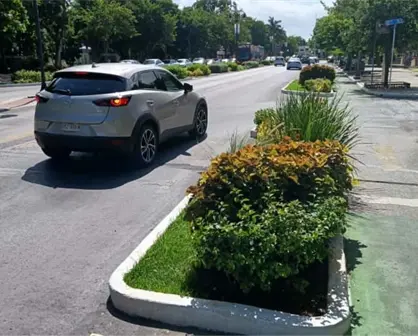 Canaco Mérida pide que los cambios en Paseo de Montejo mejoren la movilidad sin afectar al comercio