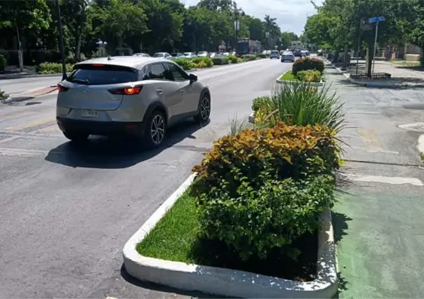 Canaco Mérida pide que los cambios en Paseo de Montejo mejoren la movilidad sin afectar al comercio