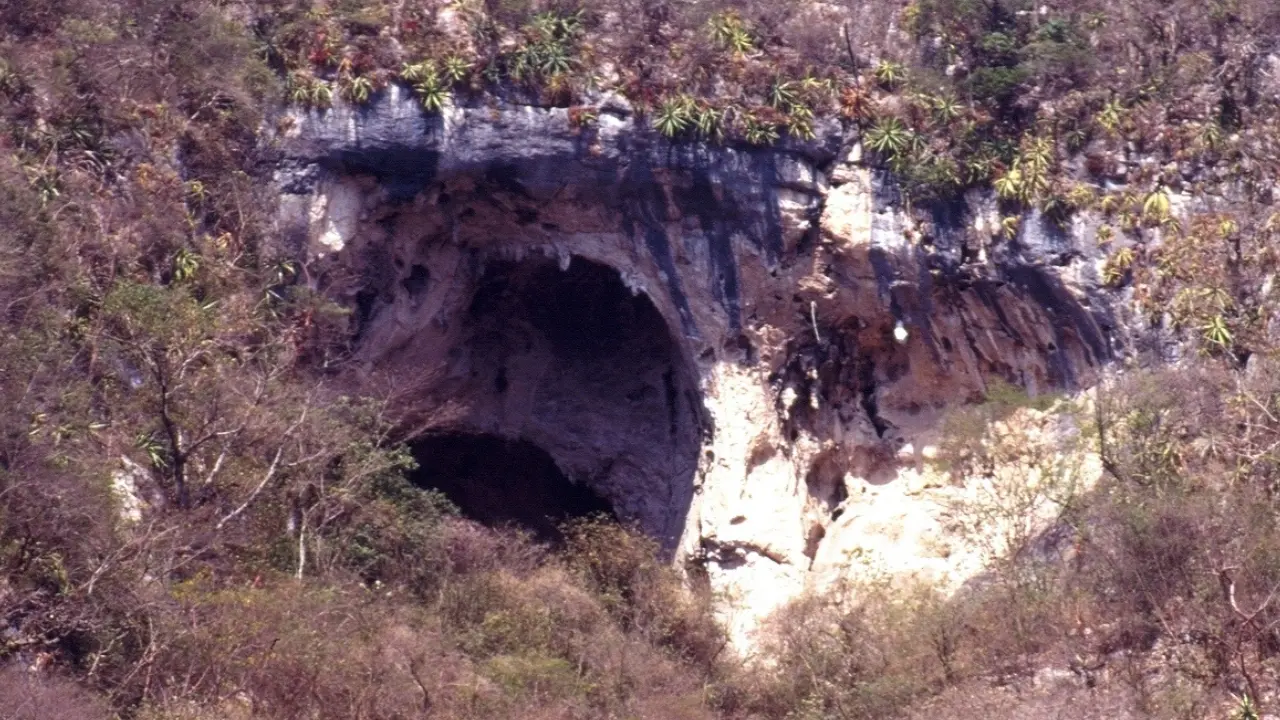 La cueva El Abra en Tamaulipas destaca por su importancia histórica y características únicas que la convierten en un sitio de interés.
