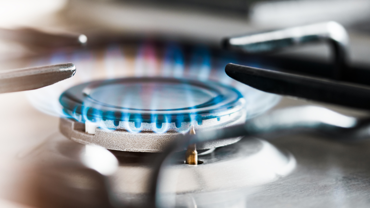 imagen-cuerpo imagen-cuerpo