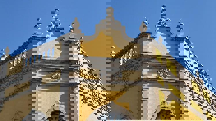 imagen-cuerpo imagen-cuerpo