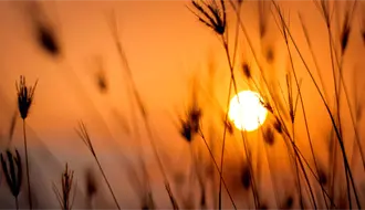 Frente frío en Coahuila, regresan las altas temperaturas en la mayor parte del estado