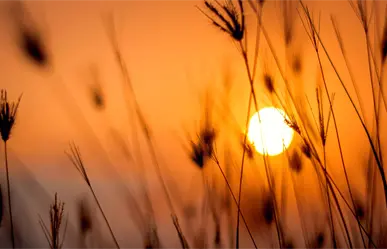 Frente frío en Coahuila, regresan las altas temperaturas en la mayor parte del estado