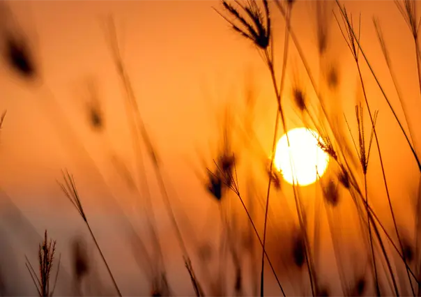 Frente frío en Coahuila, regresan las altas temperaturas en la mayor parte del estado