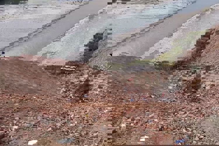 imagen-cuerpo imagen-cuerpo