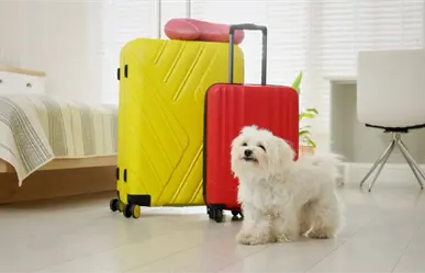 Esto recomienda Trip Advisor para quienes buscan un hotel pet friendly en Durango