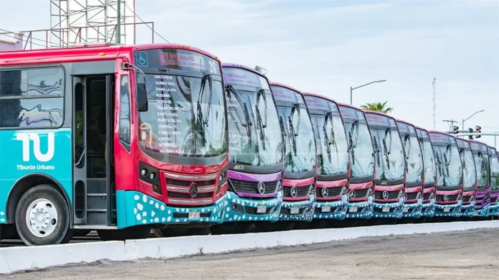 Tiburón Urbano en La Paz logra 170 mil viajes al mes y marca tendencia en movilidad