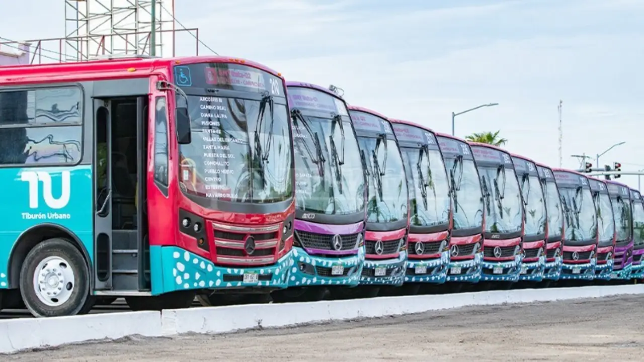 Foto: Ayuntamiento de La Paz.