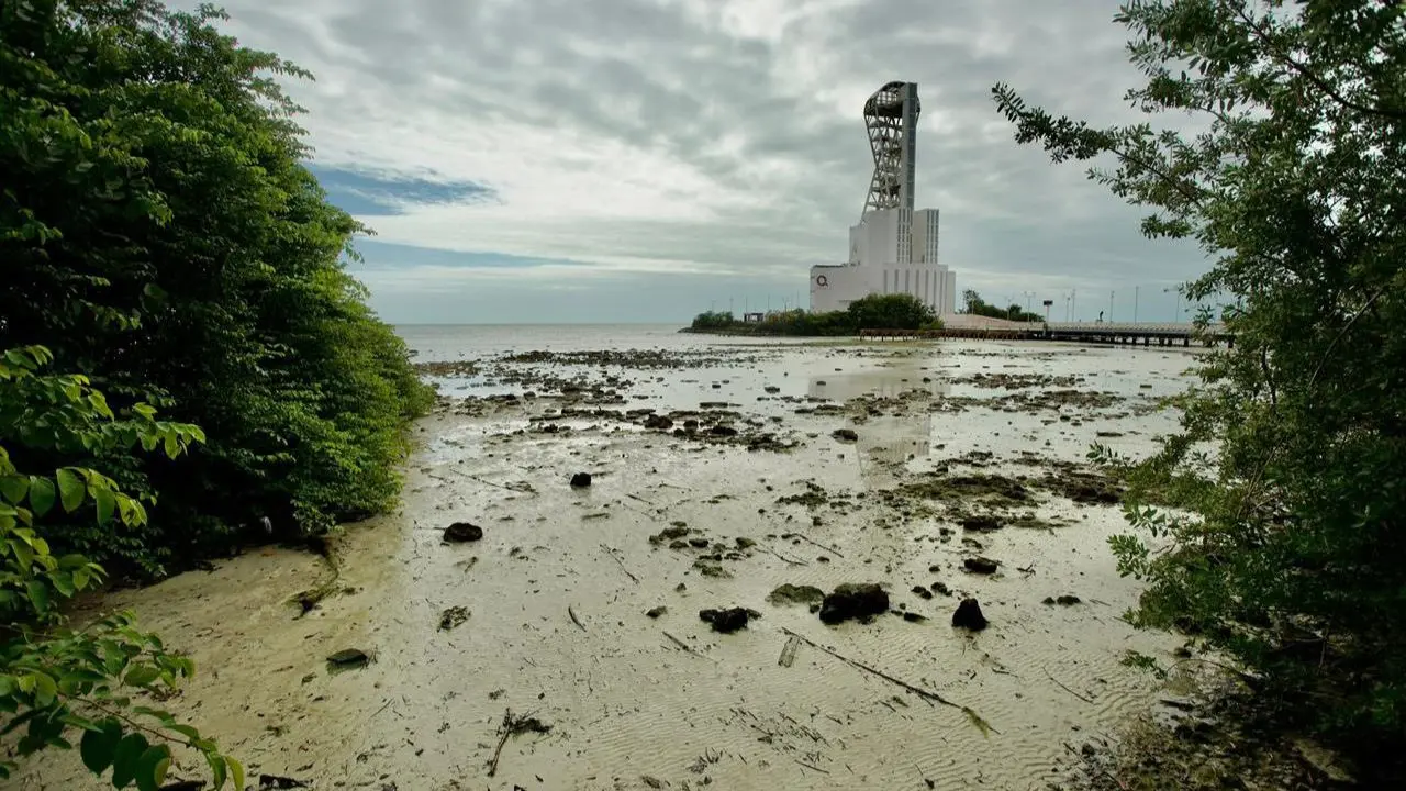 La arena de la costa quedo descubierta por el alejamiento de mar Foto: Canva | Mara Lezama
