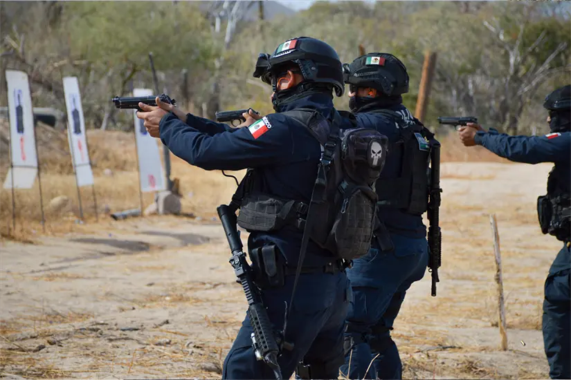 imagen recuadro Foto Ilustrativa: Seguridad Estatal.