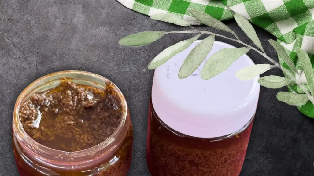 Pomada de placenta humana en Yucatán: el uso ancestral que sobrevive en Komchén