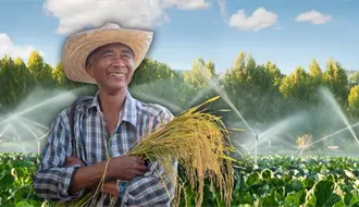 Productores yucatecos podrán ahorrar hasta 95 % en electricidad con el Programa de Energía para el Campo 2025