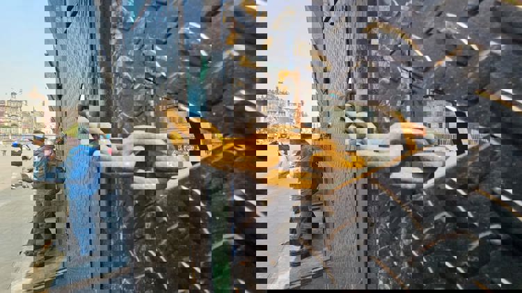 imagen-cuerpo imagen-cuerpo