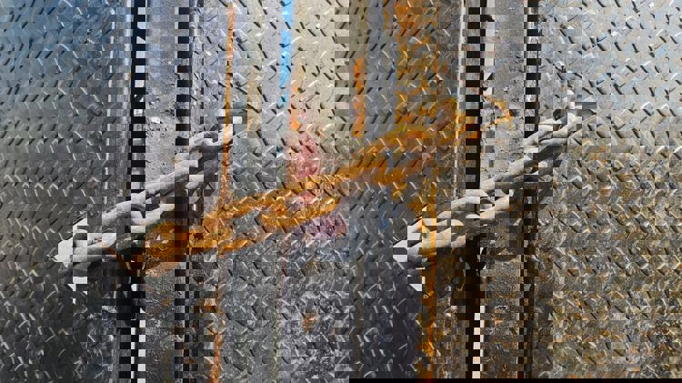 imagen-cuerpo imagen-cuerpo