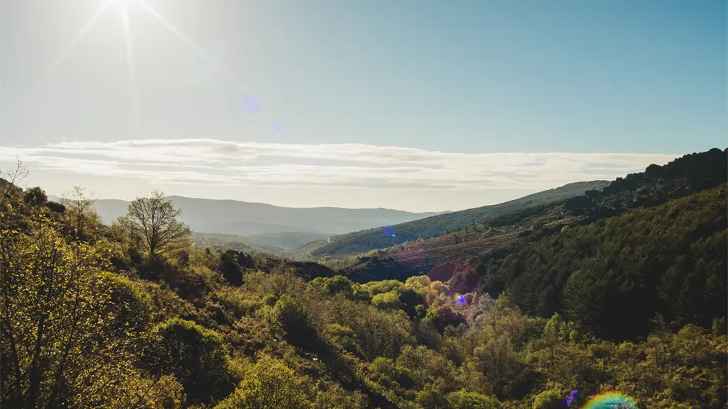 Tamaulipas tendrá un miércoles soleado y con ambiente cálido el 13 de noviembre