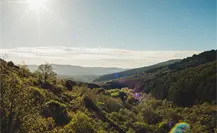Tamaulipas tendrá un miércoles soleado y con ambiente cálido el 13 de noviembre