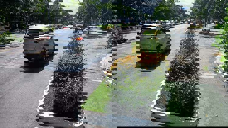 imagen-cuerpo imagen-cuerpo