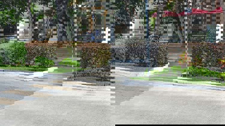 imagen-cuerpo imagen-cuerpo