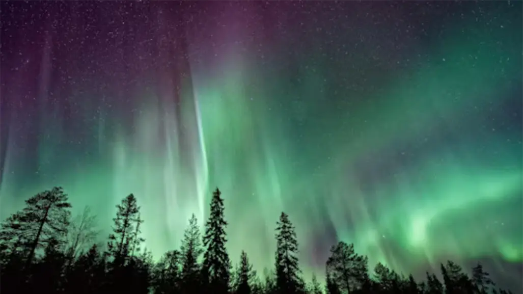 ¿Auroras boreales se podrán ver en Tamaulipas? esto dice el especialista