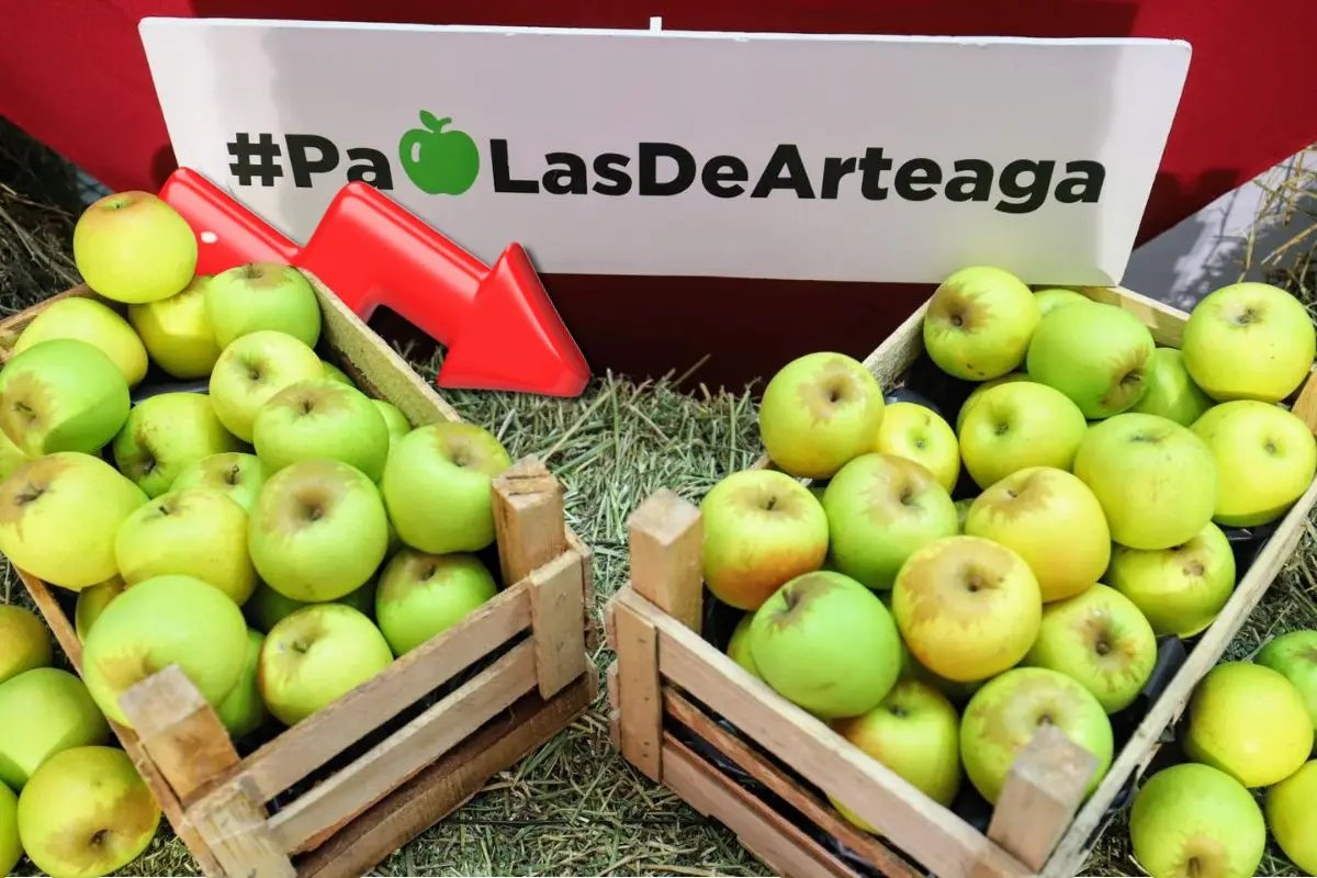 Manzanas cosechadas en Coahuila, representación de baja en la producción / Foto: Gobierno Municipal | Canva