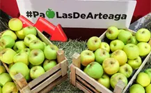 Coahuila disminuye la producción de manzana, estos son los factores de la baja Coahuila disminuye la producción de manzana, estos son los factores de la baja