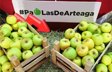 Coahuila disminuye la producción de manzana, estos son los factores de la baja