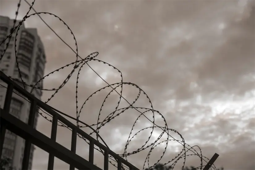 imagen recuadro Foto Ilustrativa: Canva.