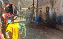 Coprised confirma multa a rastro clandestino localizado en Durango Coprised confirma multa a rastro clandestino localizado en Durango