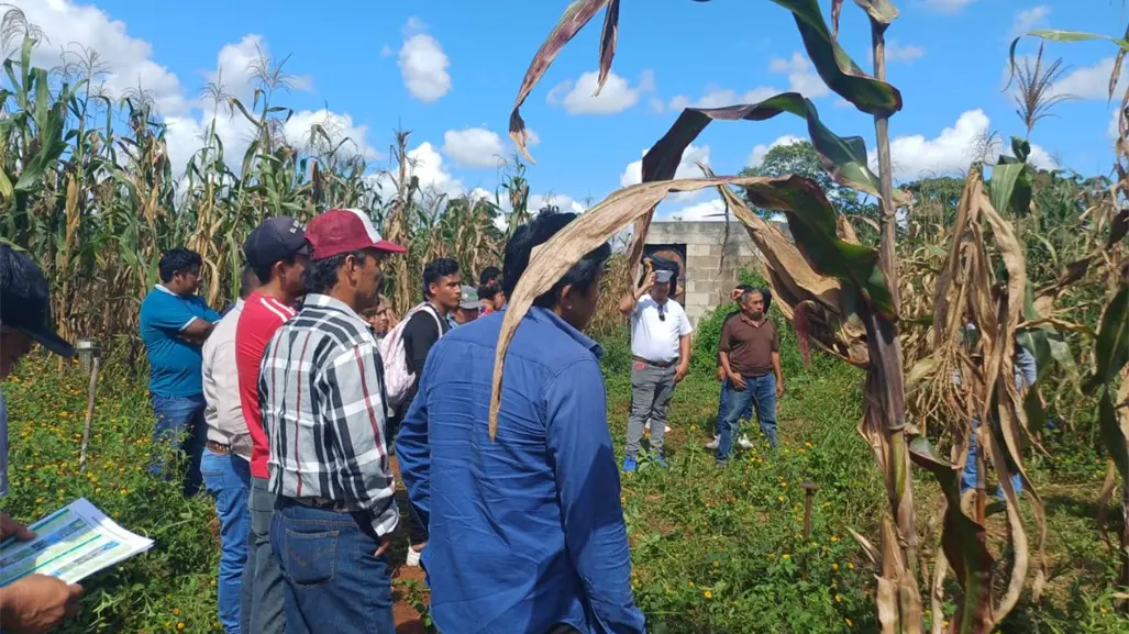 Crédito accesible para ganaderos en Coahuila, ¿cómo funciona la incitativa? 