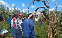 Crédito accesible para ganaderos en Coahuila, ¿cómo funciona la incitativa? Crédito accesible para ganaderos en Coahuila, ¿cómo funciona la incitativa?