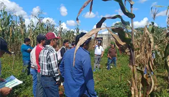 Crédito accesible para ganaderos en Coahuila, ¿cómo funciona la incitativa?